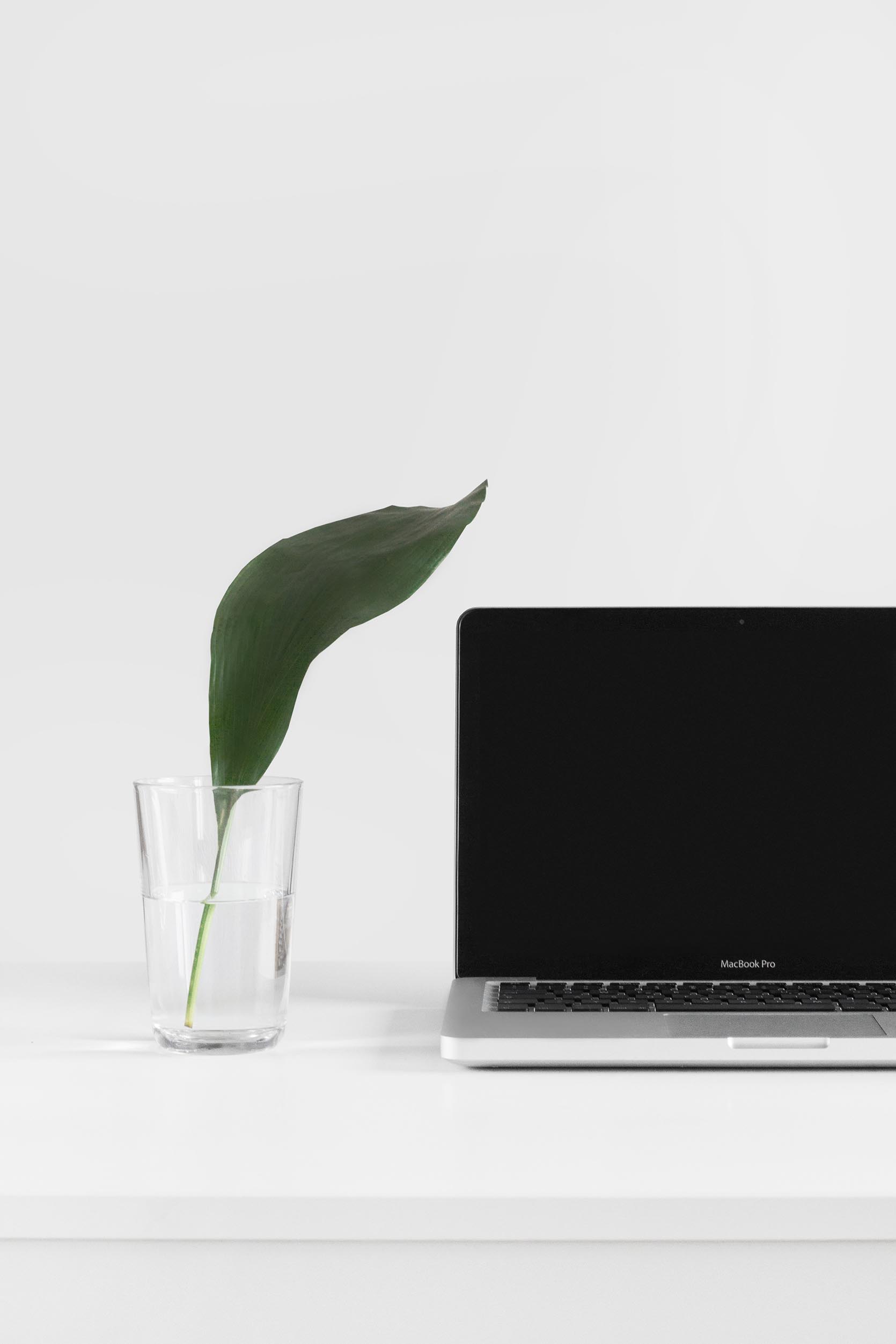 recrutement nidée